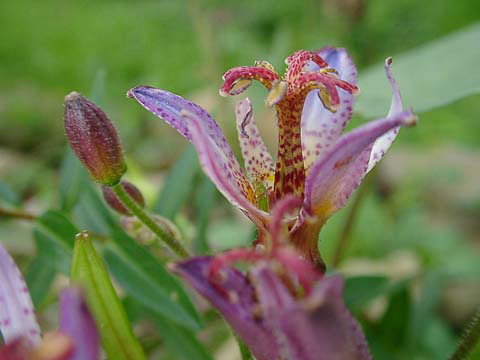 a0079880_214899.jpg