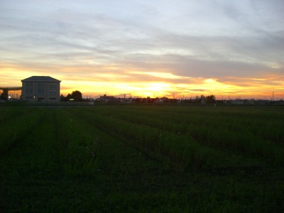 c0078480_0115664.jpg