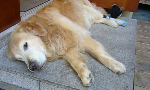 c0085188_20235896.jpg