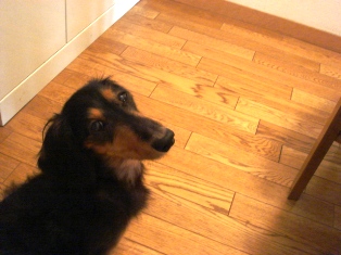 f0006390_14164837.jpg