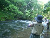 f0069890_914896.jpg