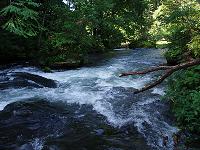 f0069890_951094.jpg