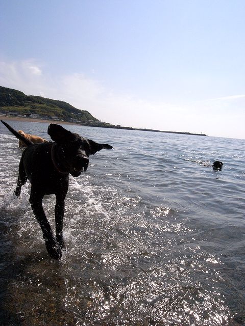 a0093592_1112086.jpg