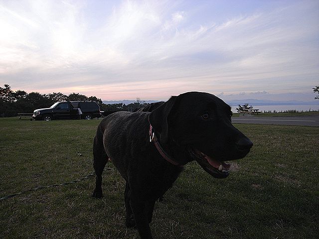 a0093592_11594397.jpg