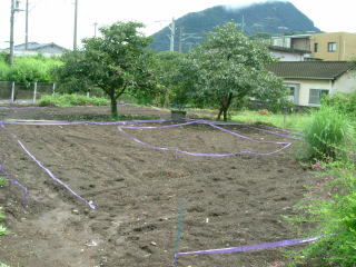 b0098392_1285480.jpg