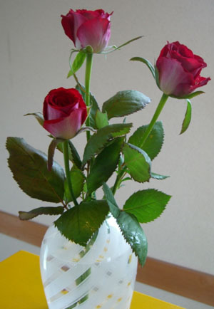 e0013399_1744969.jpg