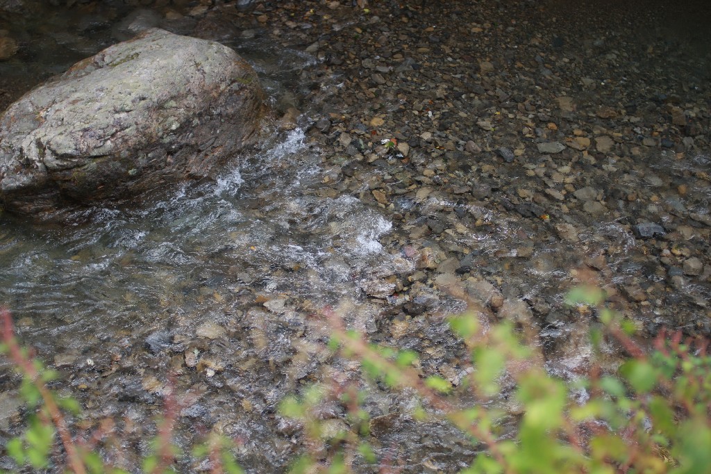 b0116600_18542331.jpg