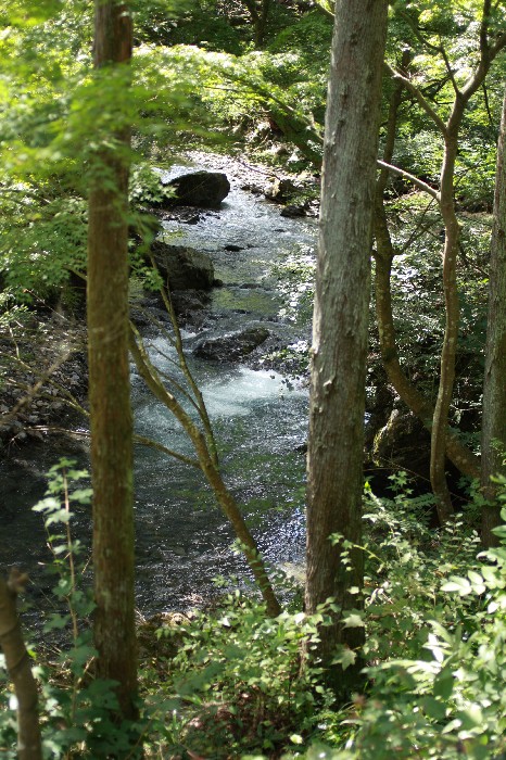 b0116600_1854826.jpg