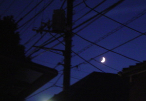 b0114403_21445451.jpg