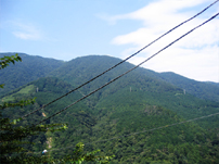 c0055305_2255588.jpg