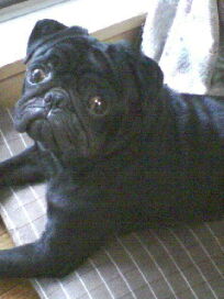 c0023406_9391423.jpg