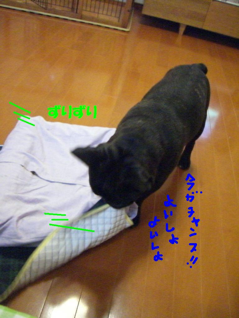 c0113109_18262629.jpg