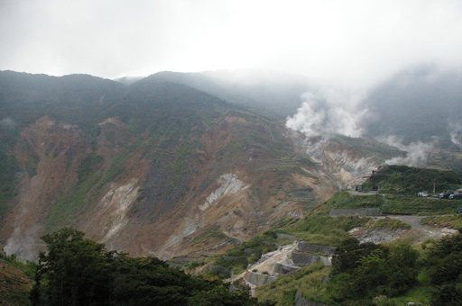 f0052411_1536677.jpg