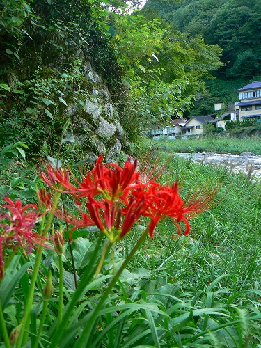 e0075015_1647810.jpg