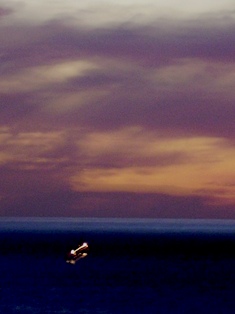 e0124916_14211998.jpg