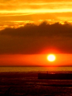 e0124916_1425244.jpg