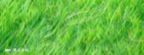 a0042120_13835100.jpg
