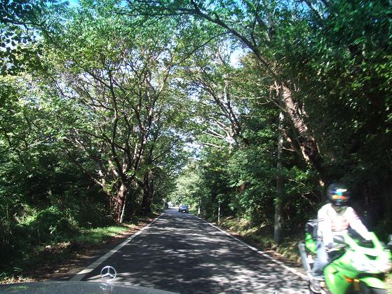 b0089338_0335843.jpg
