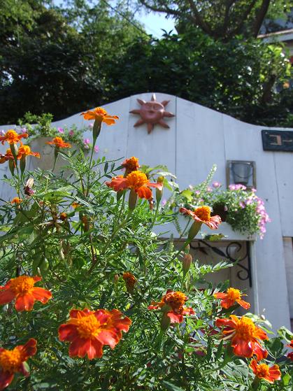 b0089338_0344914.jpg