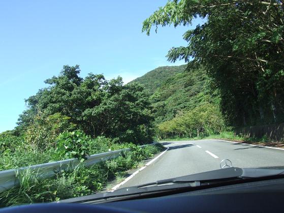 b0089338_034991.jpg