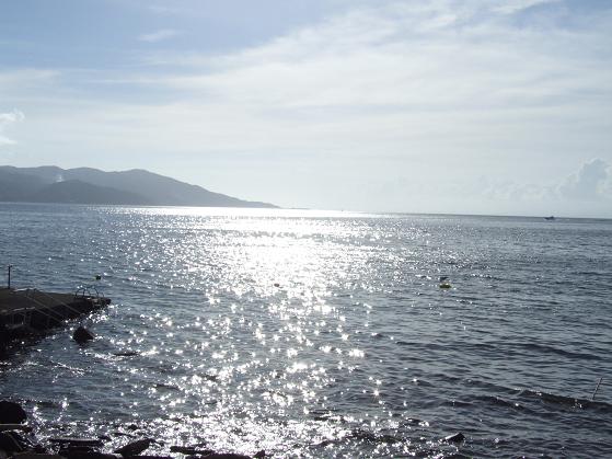 b0089338_0364160.jpg