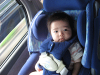 f0047439_0424652.gif