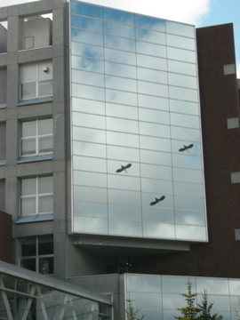 c0137641_752237.jpg