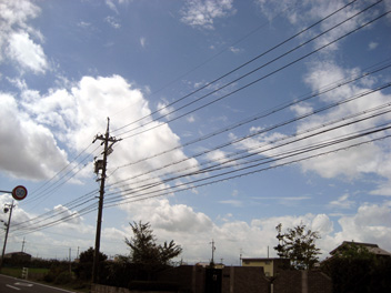 b0004144_1744863.jpg