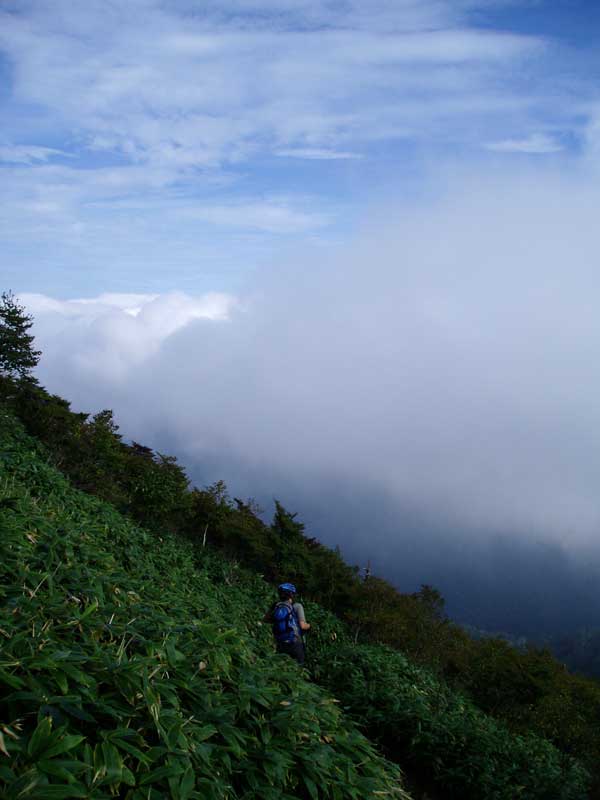 d0014748_2223553.jpg