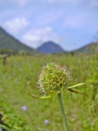 a0001354_18525410.jpg