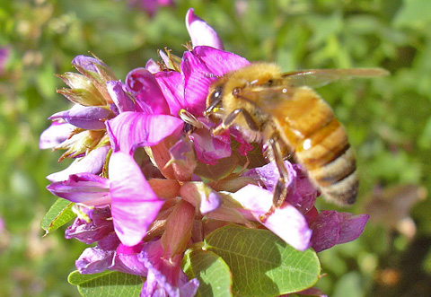 a0001354_19245726.jpg