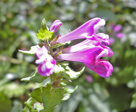 a0001354_201218.jpg