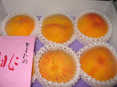b0050356_22163339.jpg
