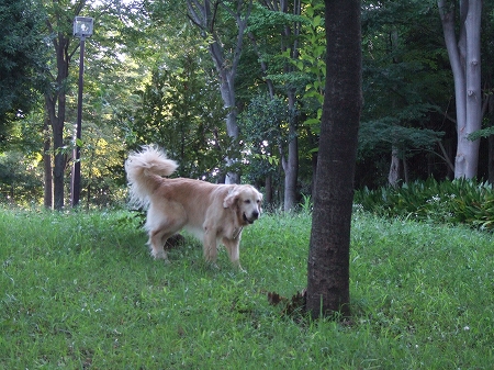 c0097558_1215759.jpg