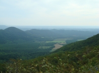 c0108460_11592556.jpg