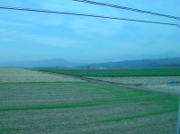 c0108460_1204379.jpg