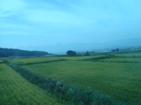 c0108460_12124100.jpg