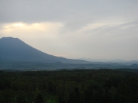 c0108460_17522283.jpg