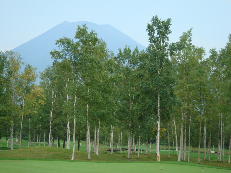c0108460_1753036.jpg