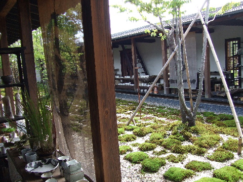 c0107861_20302460.jpg