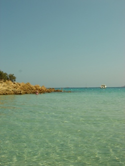 c0102268_1331154.jpg