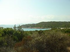 c0102268_1351936.jpg