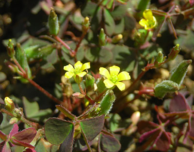 e0097770_2001647.jpg