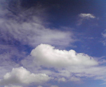 d0056881_20443898.jpg