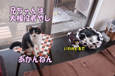 b0041182_1145997.jpg