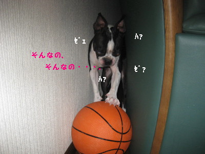 c0092787_12275185.jpg