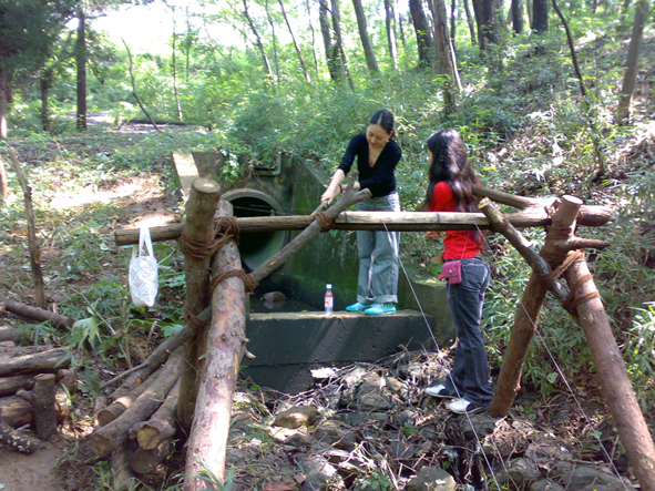 c0123189_1542143.jpg