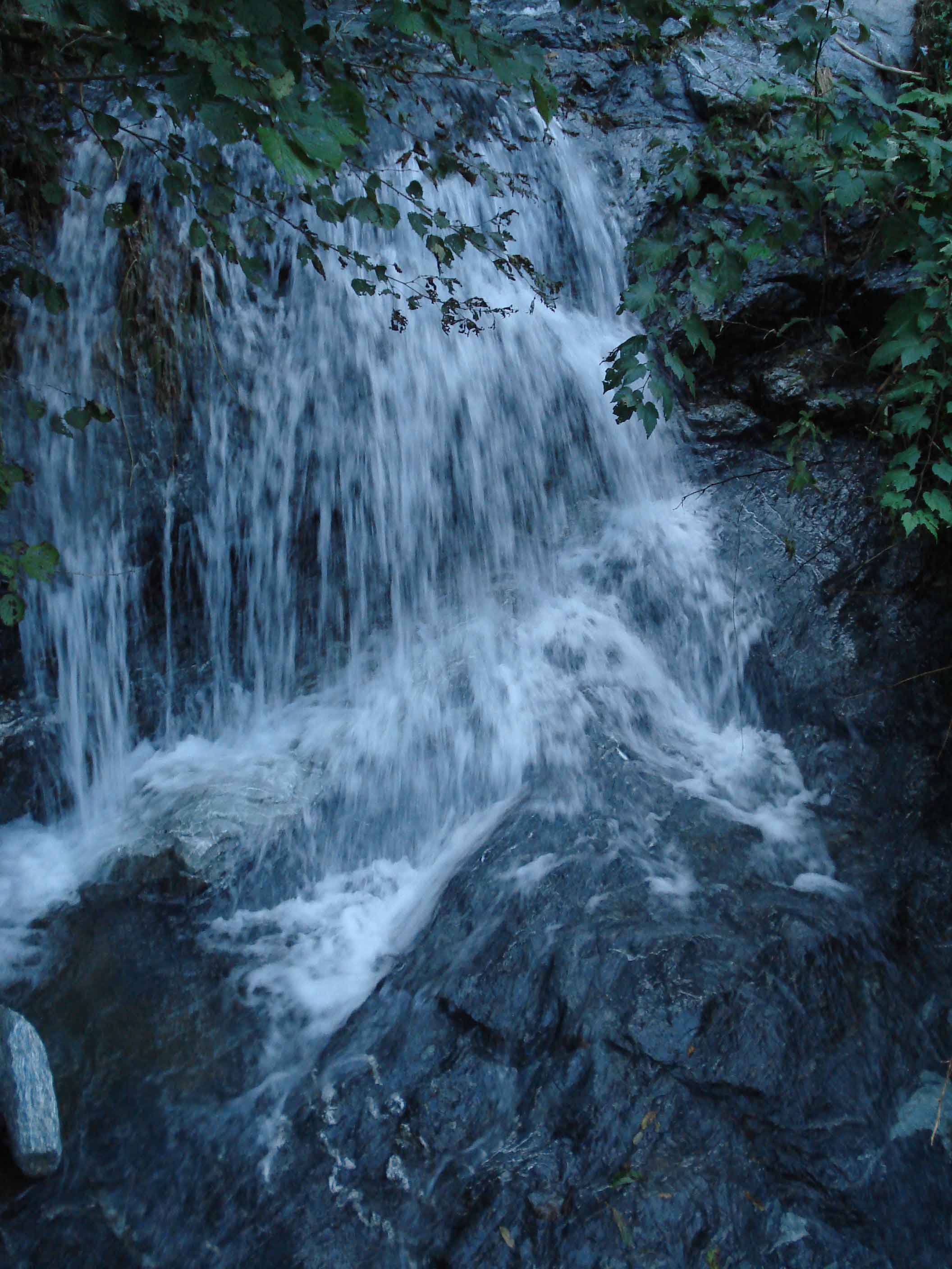 d0037489_9383434.jpg