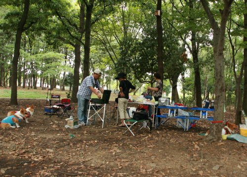 f0085889_15504460.jpg