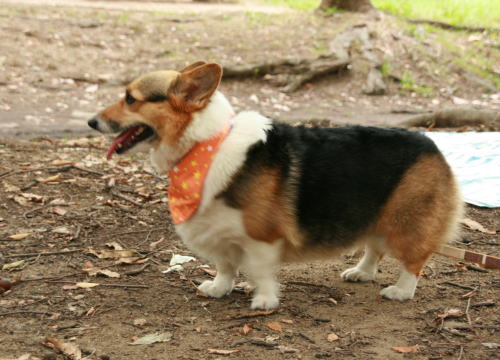 f0085889_16123195.jpg